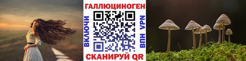 Псилоцибиновые грибы ЛСД  omg ссылки  Волосово 